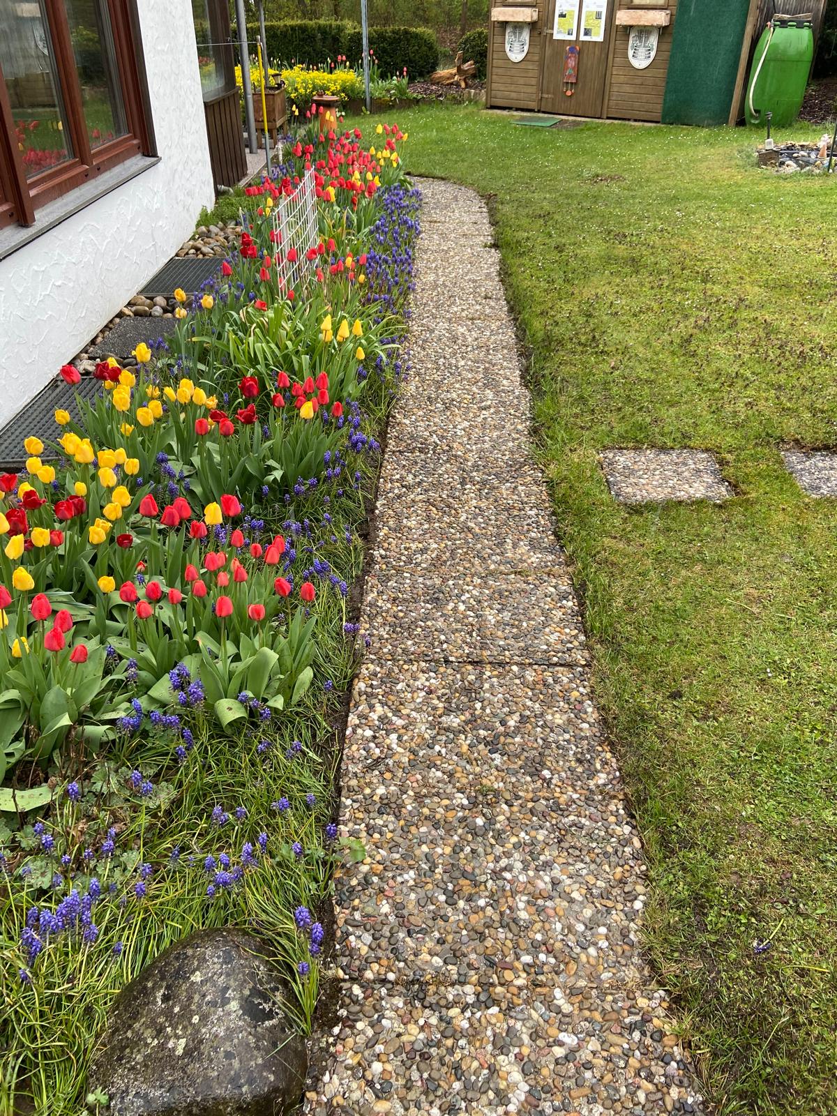 Gartenweg Reinigung - Nachher